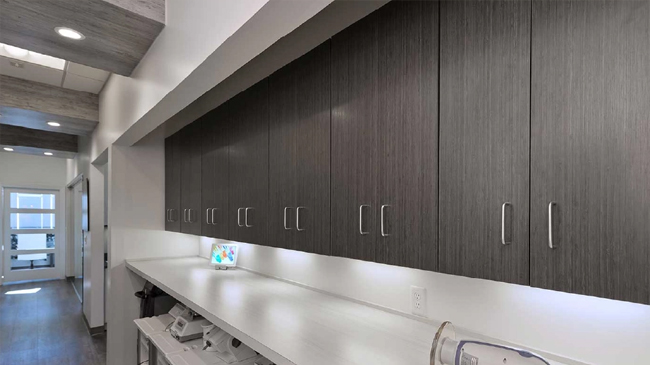 hpl cubicle partition