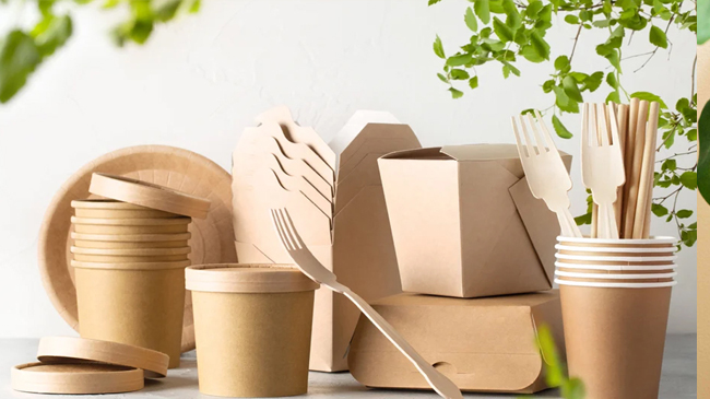Eco-Friendly-Options