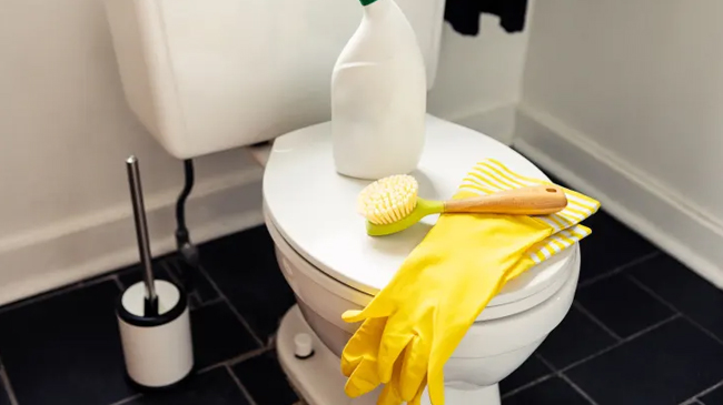 Toilet-Bowl-Cleaners