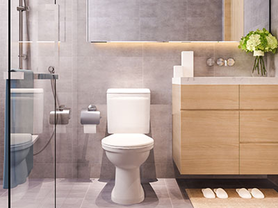  HPL Benches and Corner Toilet Bathroom